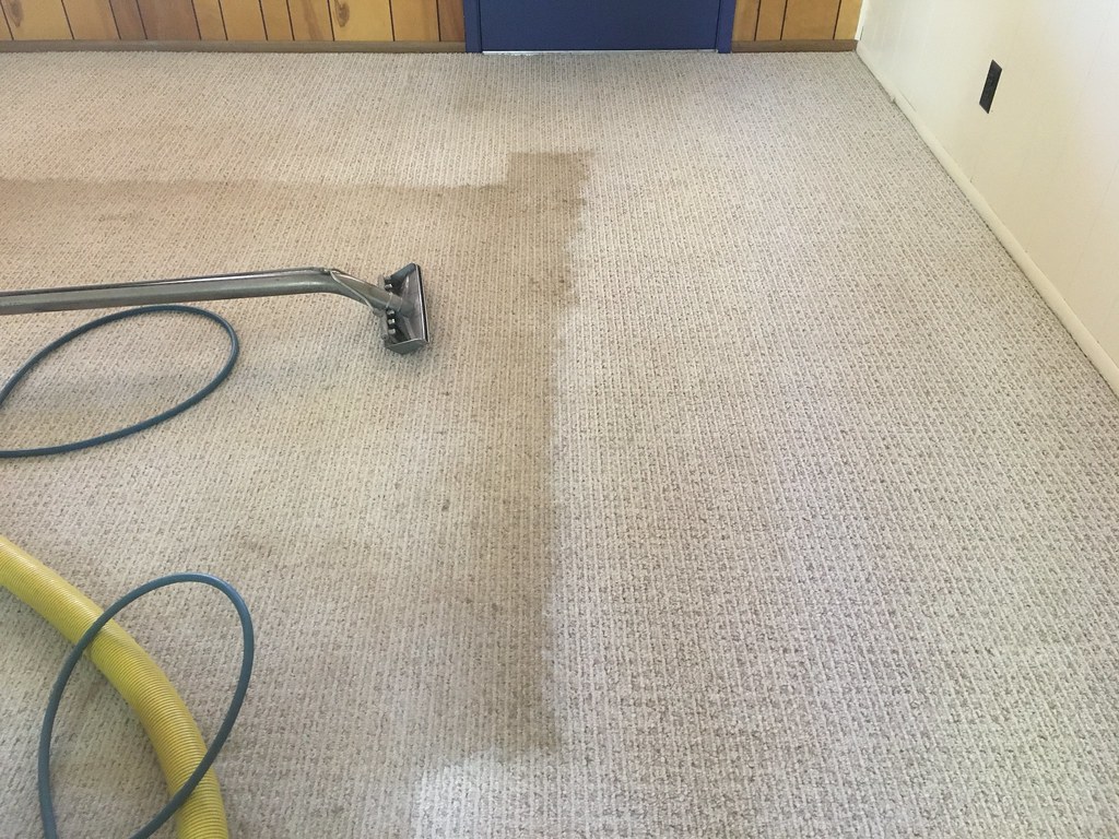 Easy Steps to Steam Clean the Carpet
