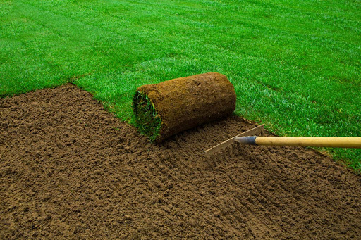 Exactly How to Care For New Turf Lawns