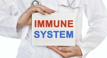 Strengthen your Immune System