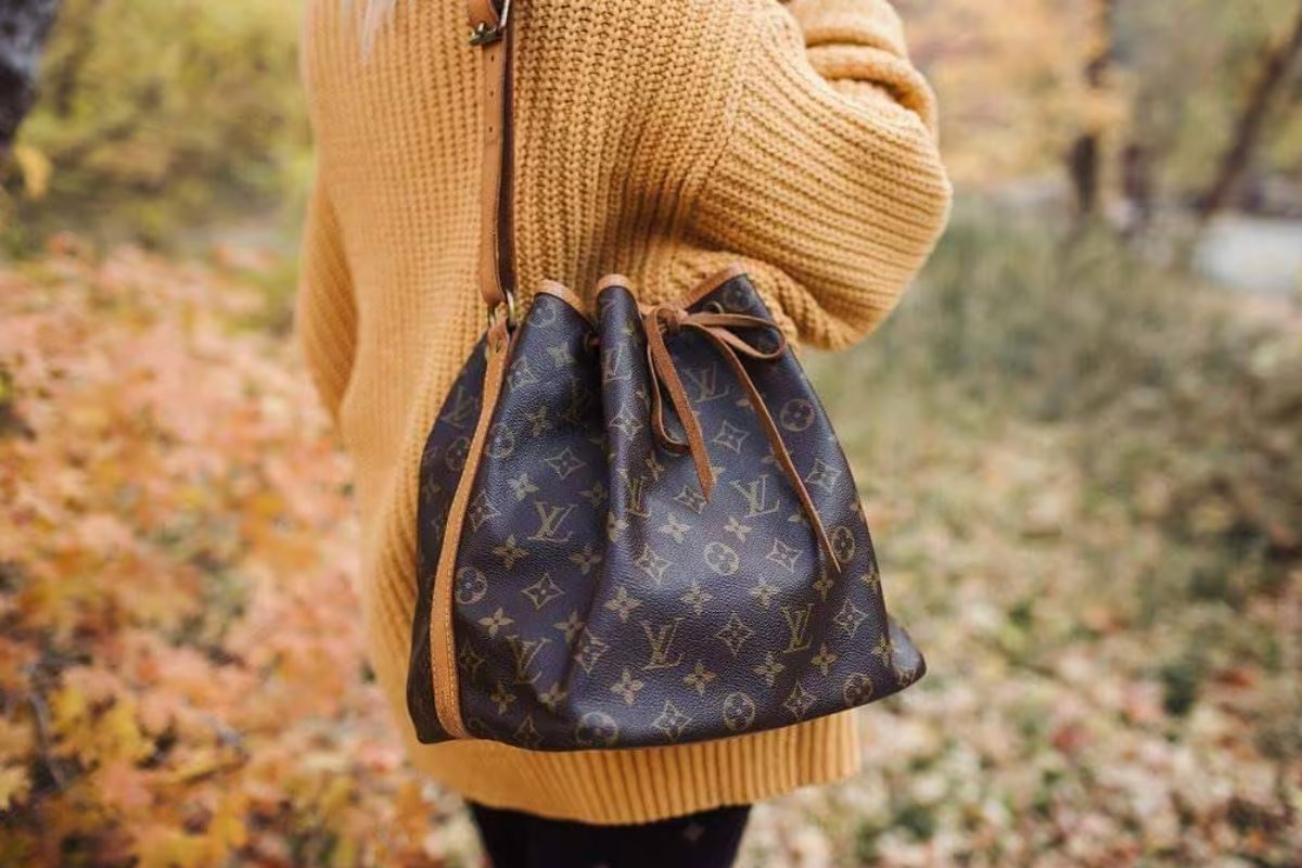 Louis Vuitton Noé