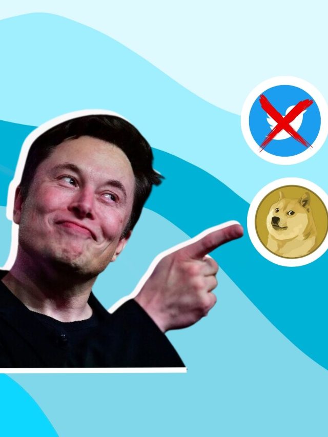 Twitter’s Blue Bird Flew Away, Doge Takes Over – Elon Musk’s Latest Move