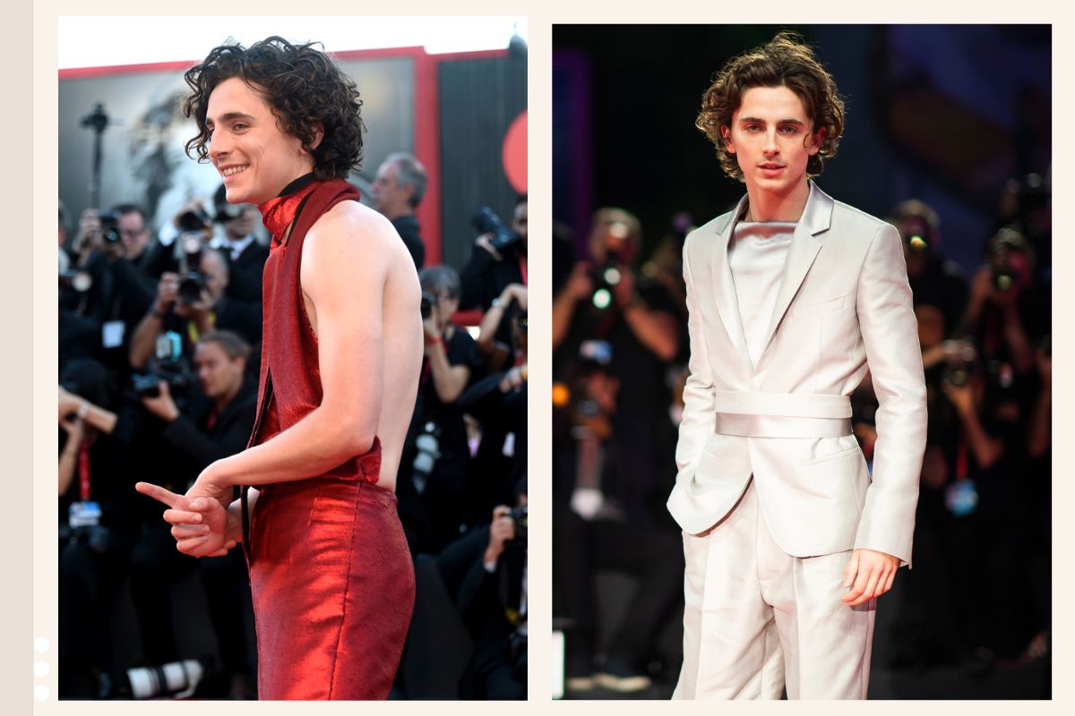 Public Image and Fashion of Timothee Chalamet