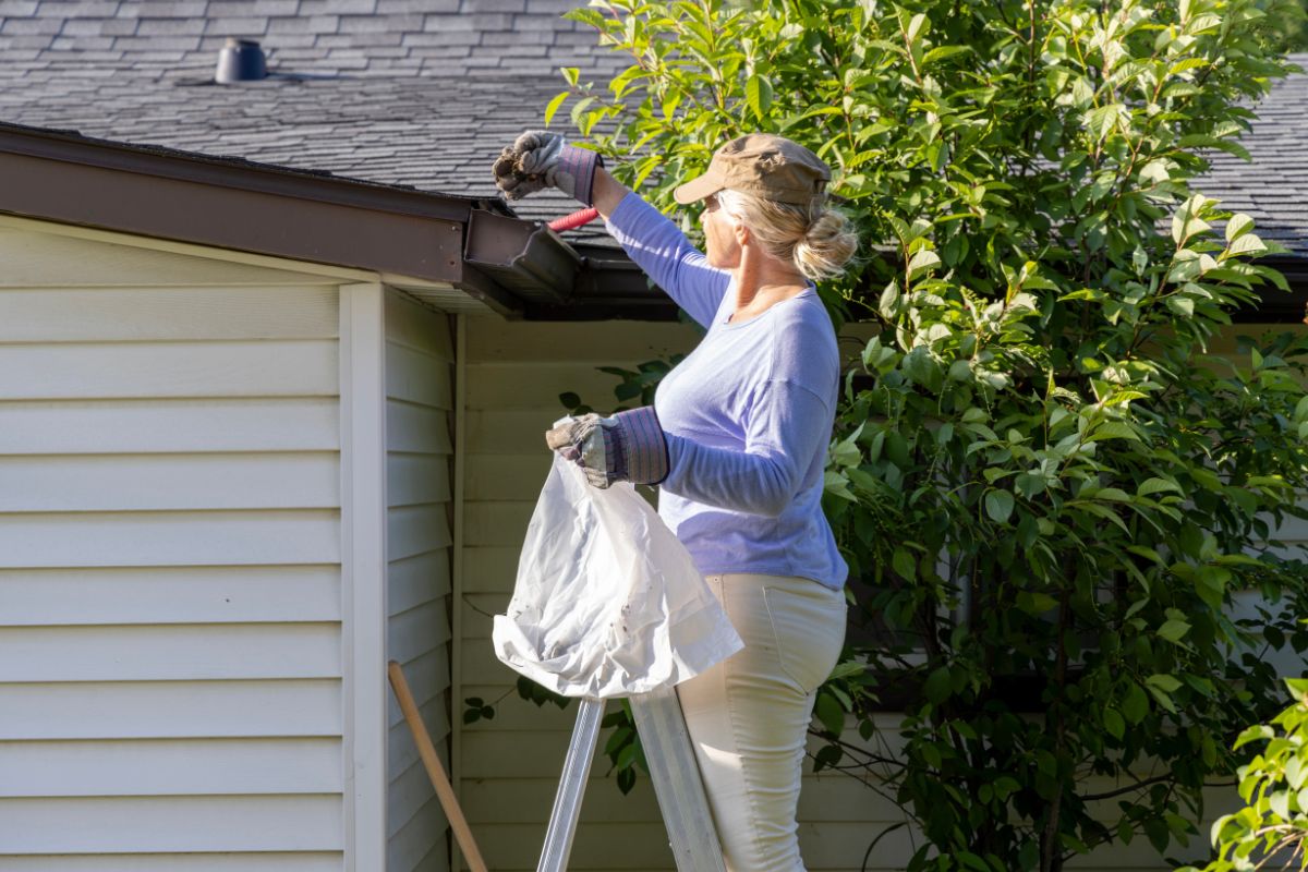 DIY vs. Hiring a Professional Gutter Cleaning