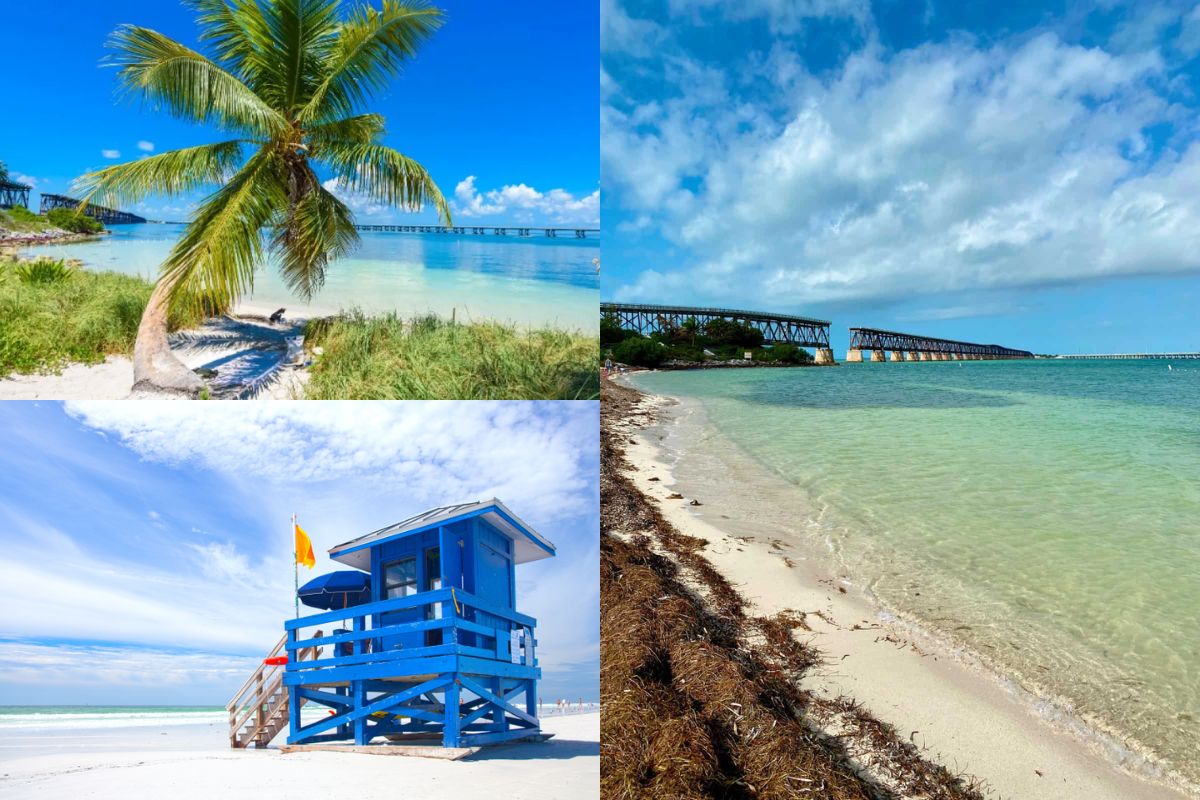 Florida_ Sunshine, Theme Parks, And Beautiful Beaches - Coastal