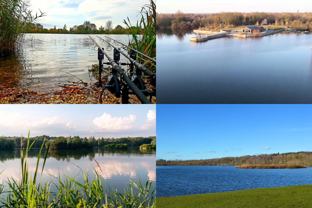 Locations for Carp Fishing in the UK