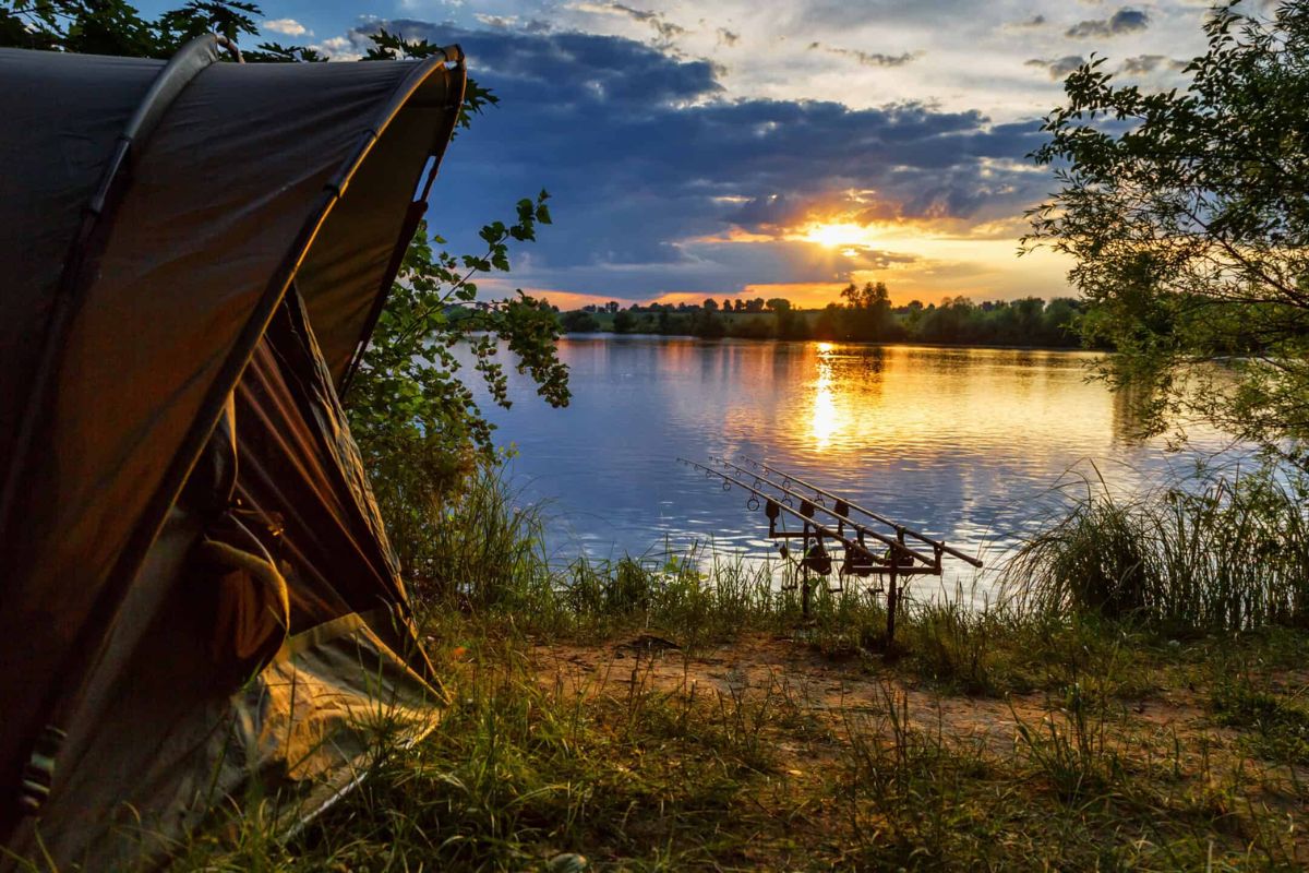 Carp Fishing in the UK