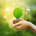 How to Live More Eco-Consciously Going Forward