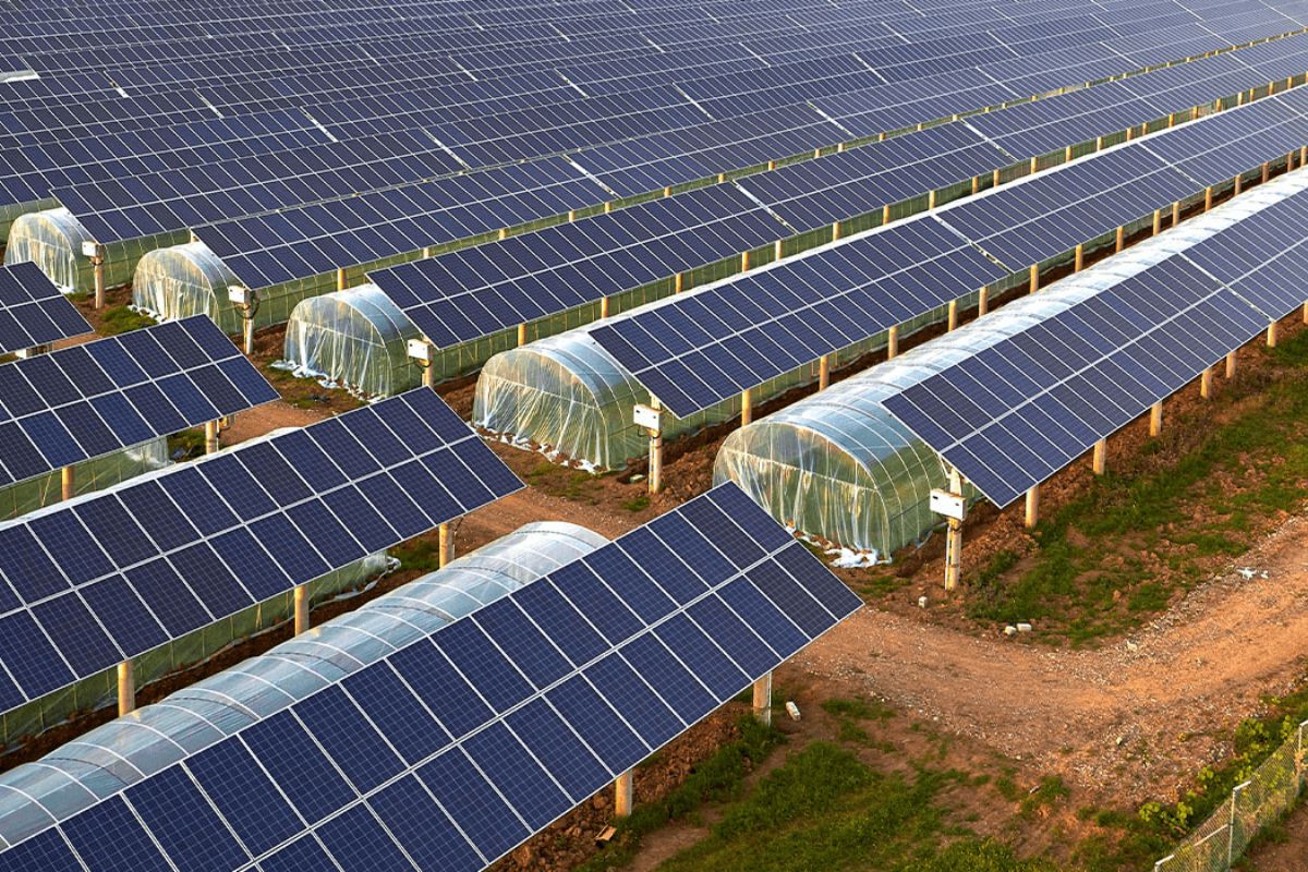 Solar-Powered Agriculture