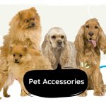 11 Luxury Pet Accessories in Dubai to Spoil Your Friend
