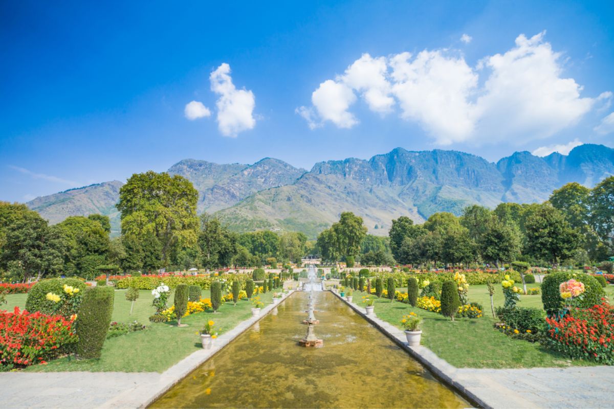 Mughal Gardens_ A Testament to Timeless Beauty