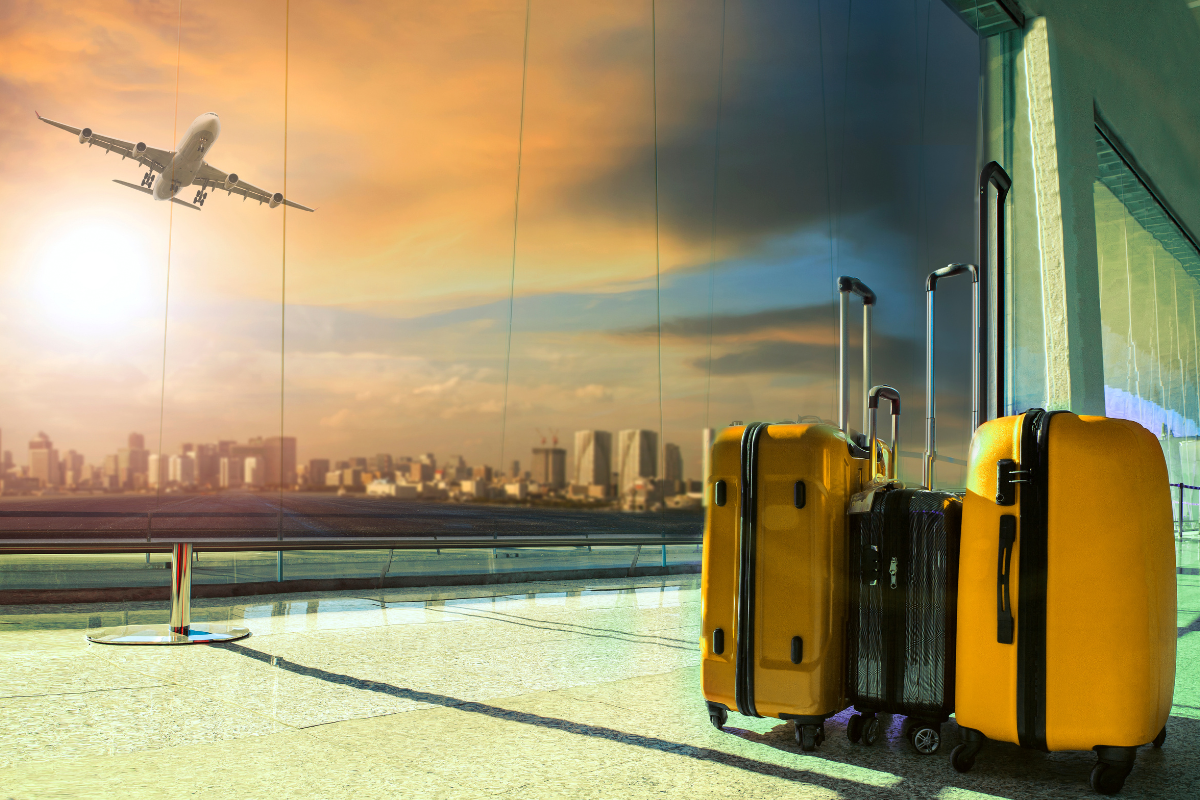 The Traveler's Handbook - Maintaining and Repairing Your Luggage