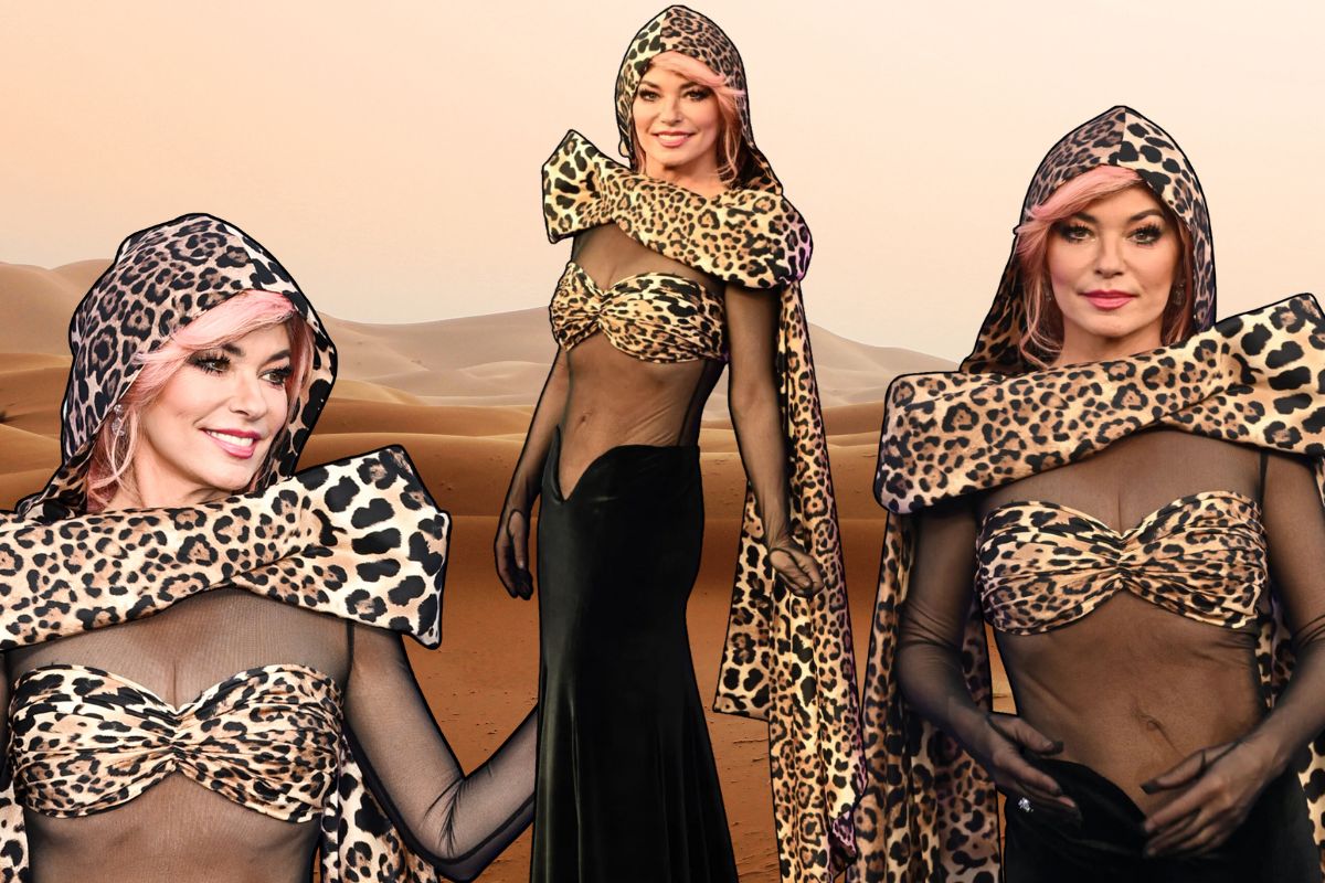 Shania Twain leopard outfit