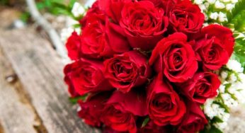 Valentine’s Day Flowers and Their Meanings