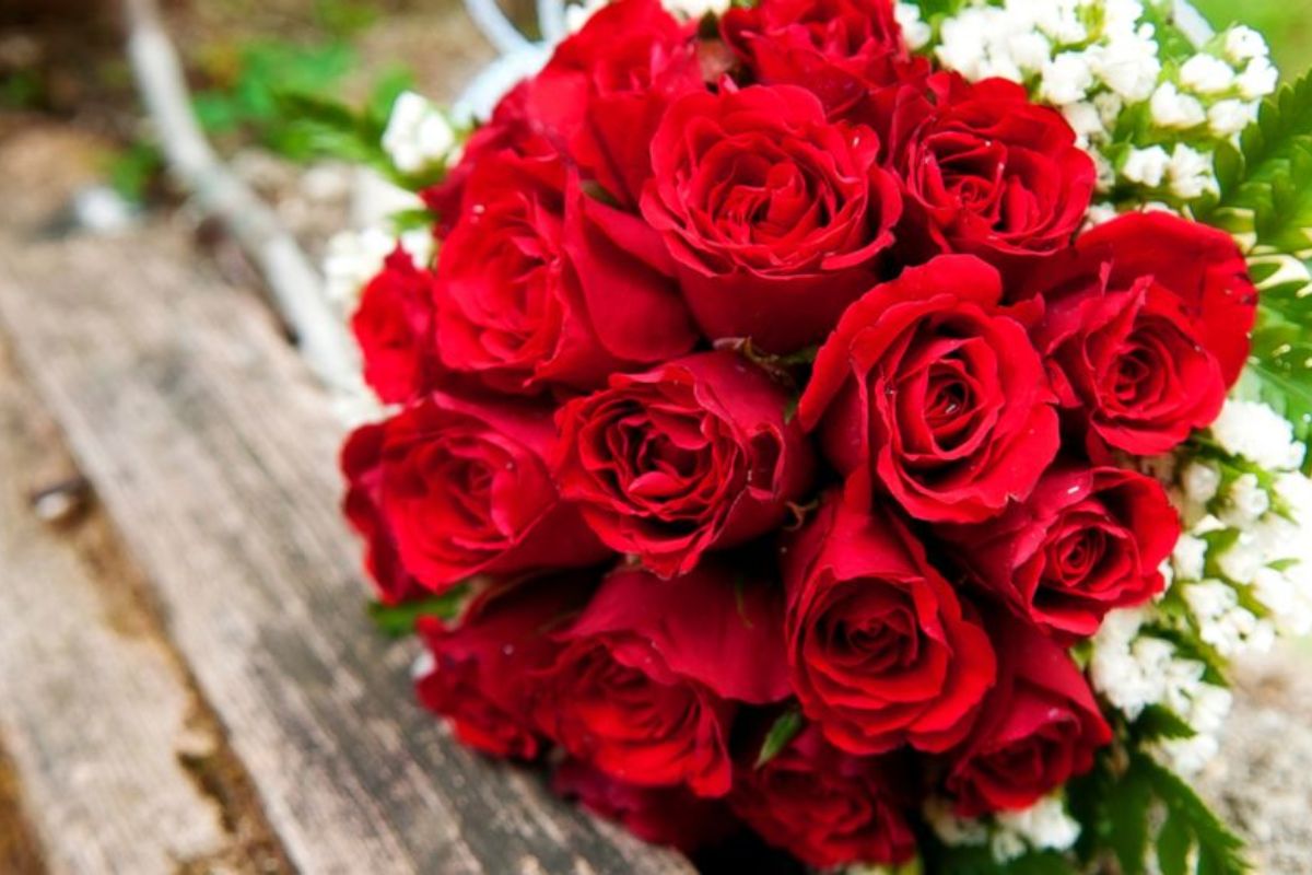 Valentine’s Day Flowers and Their Meanings