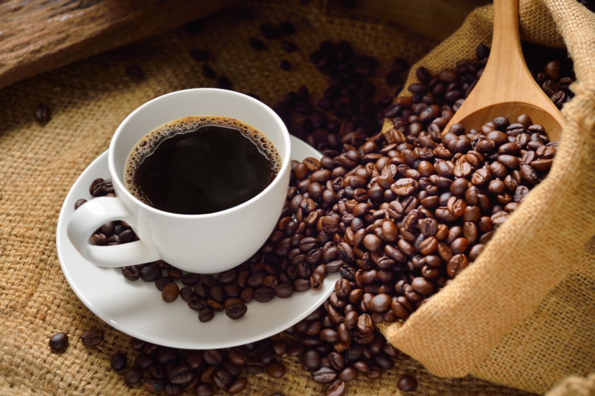 Beyond the Mug – Exploring Coffee’s Multifaceted World