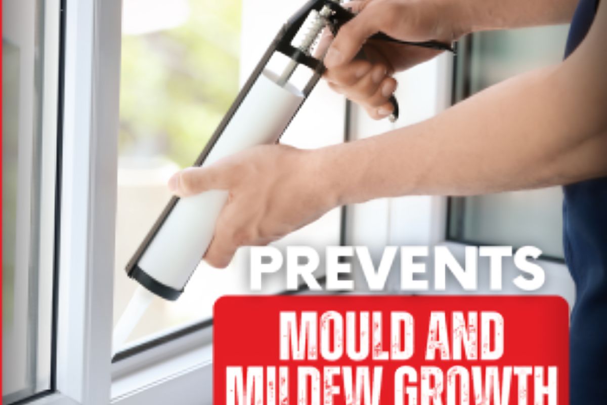 Mildew Growth